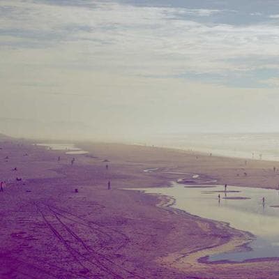 Filing & Organization